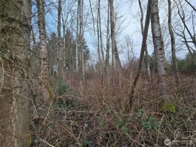 137 XX SE 202nd Place , Kent, WA 98042 - Photo 11