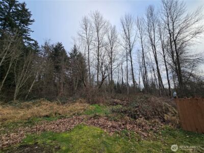 137 XX SE 202nd Place , Kent, WA 98042 - Photo 12