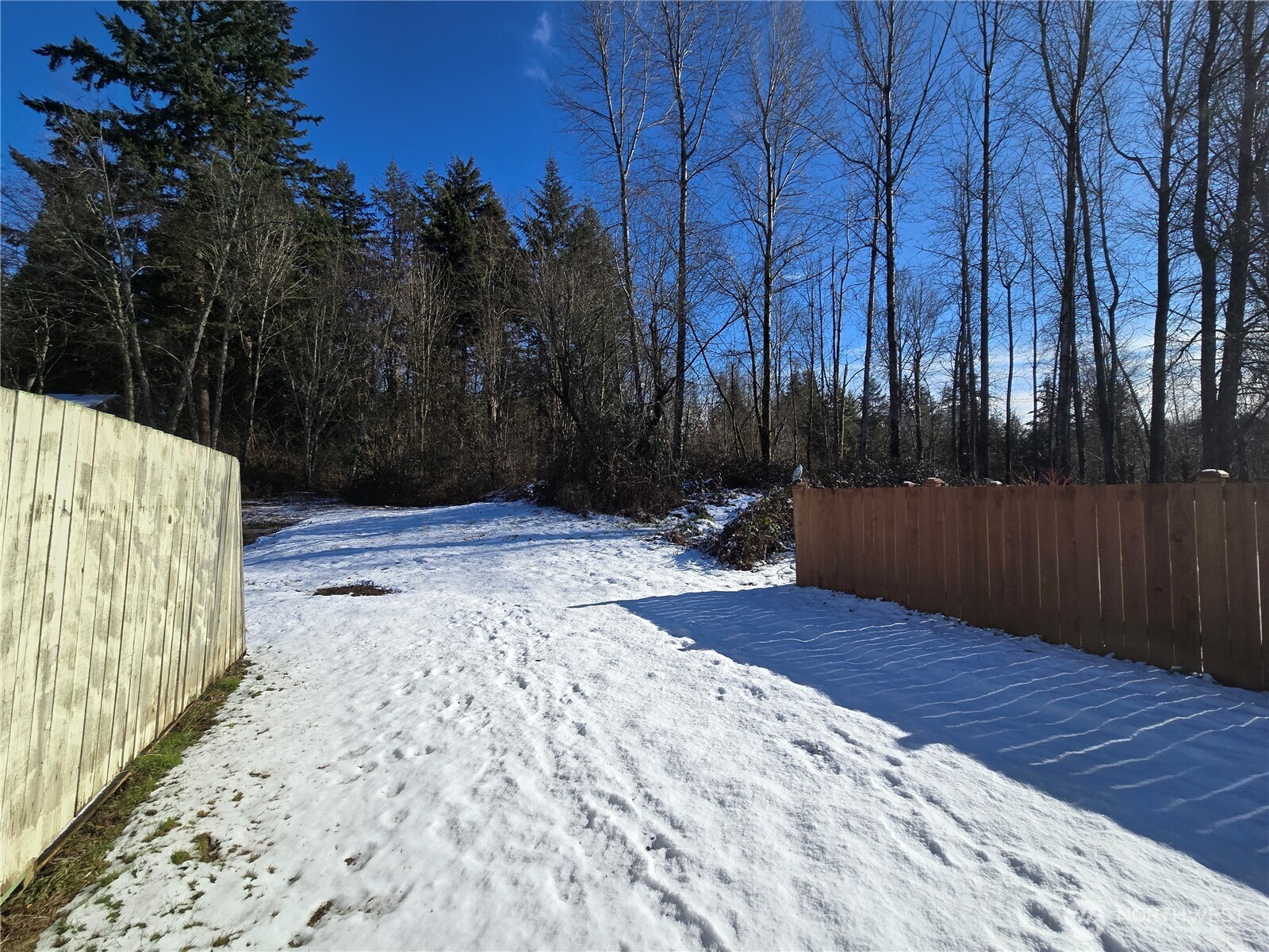 137 XX SE 202nd Place , Kent, WA 98042