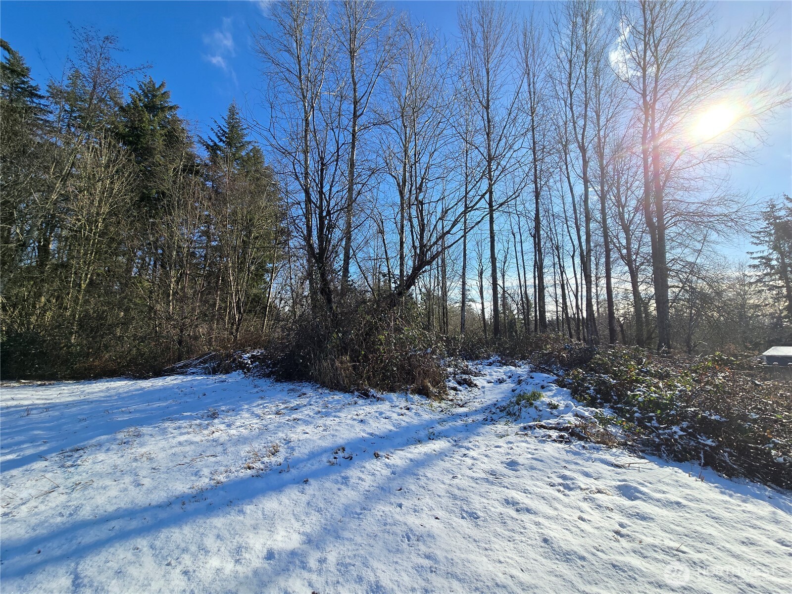 137 XX SE 202nd Place , Kent, WA 98042