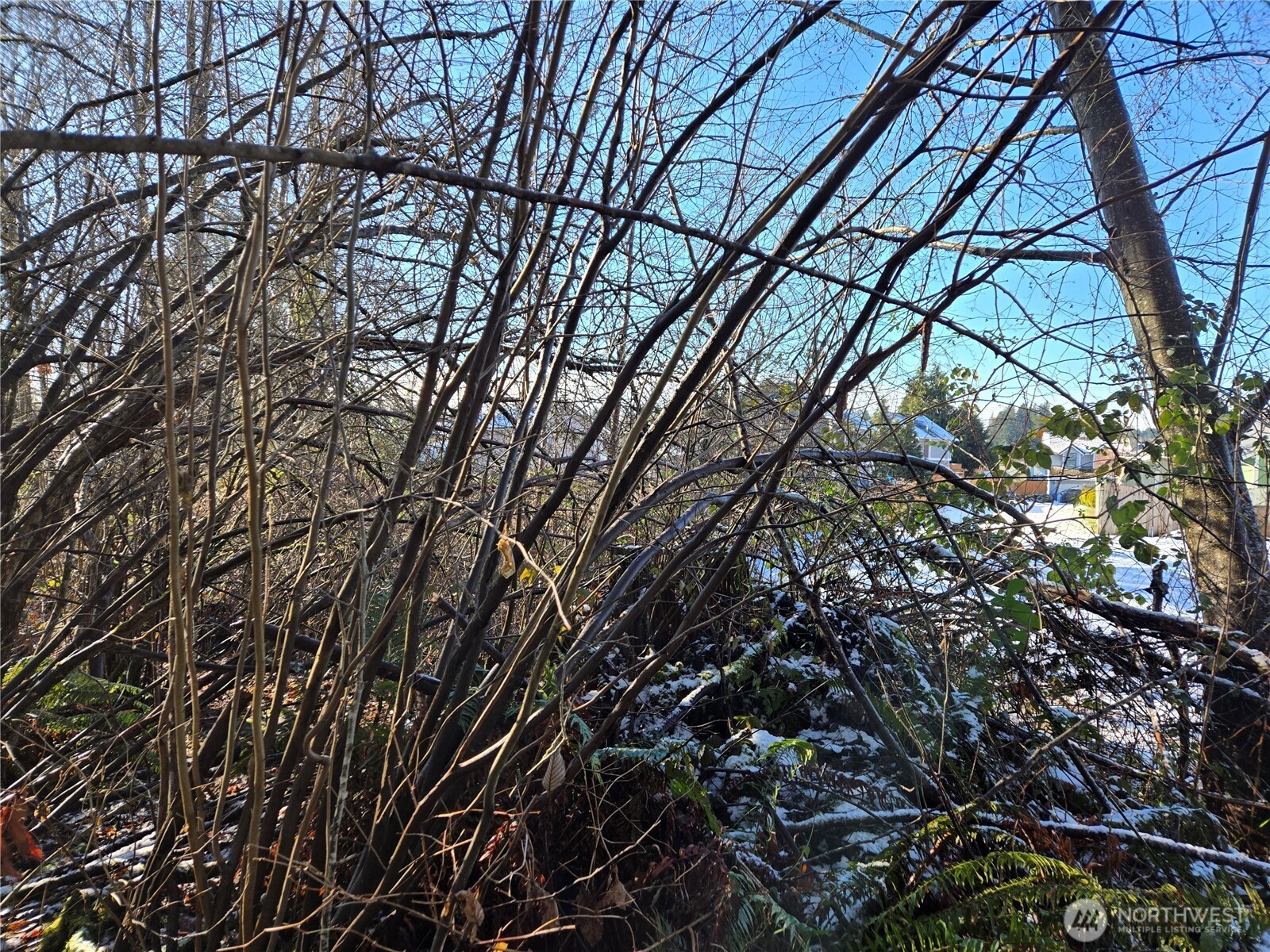 137 XX SE 202nd Place , Kent, WA 98042