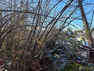 137 XX SE 202nd Place , Kent, WA 98042 - Photo 16