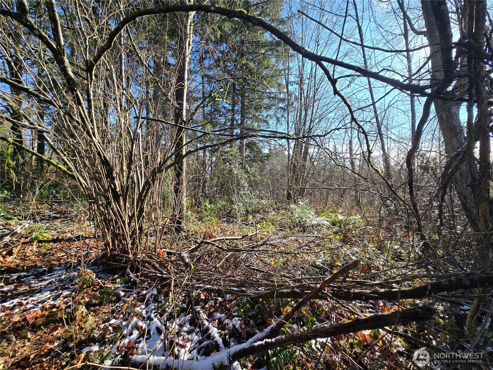 137 XX SE 202nd Place , Kent, WA 98042