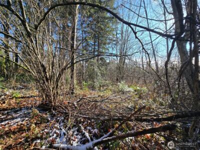 137 XX SE 202nd Place , Kent, WA 98042 - Photo 17