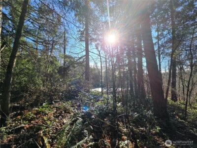 137 XX SE 202nd Place , Kent, WA 98042 - Photo 18