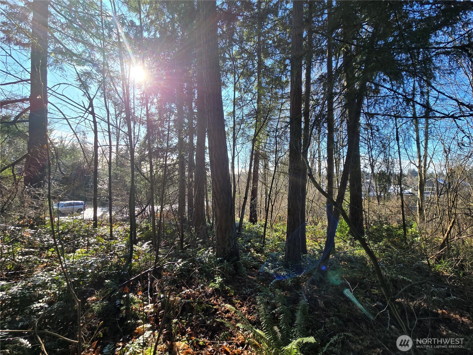 137 XX SE 202nd Place , Kent, WA 98042