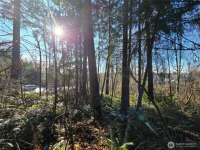 137 XX SE 202nd Place , Kent, WA 98042 - Photo 19