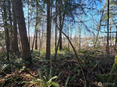 137 XX SE 202nd Place , Kent, WA 98042 - Photo 20