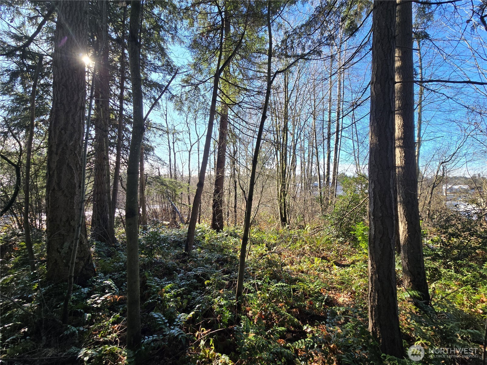 137 XX SE 202nd Place , Kent, WA 98042