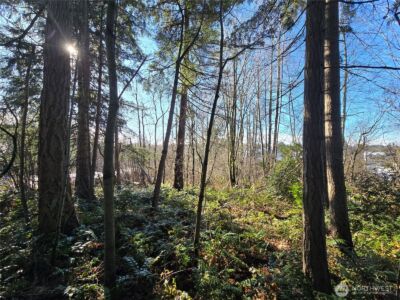 137 XX SE 202nd Place , Kent, WA 98042 - Photo 21