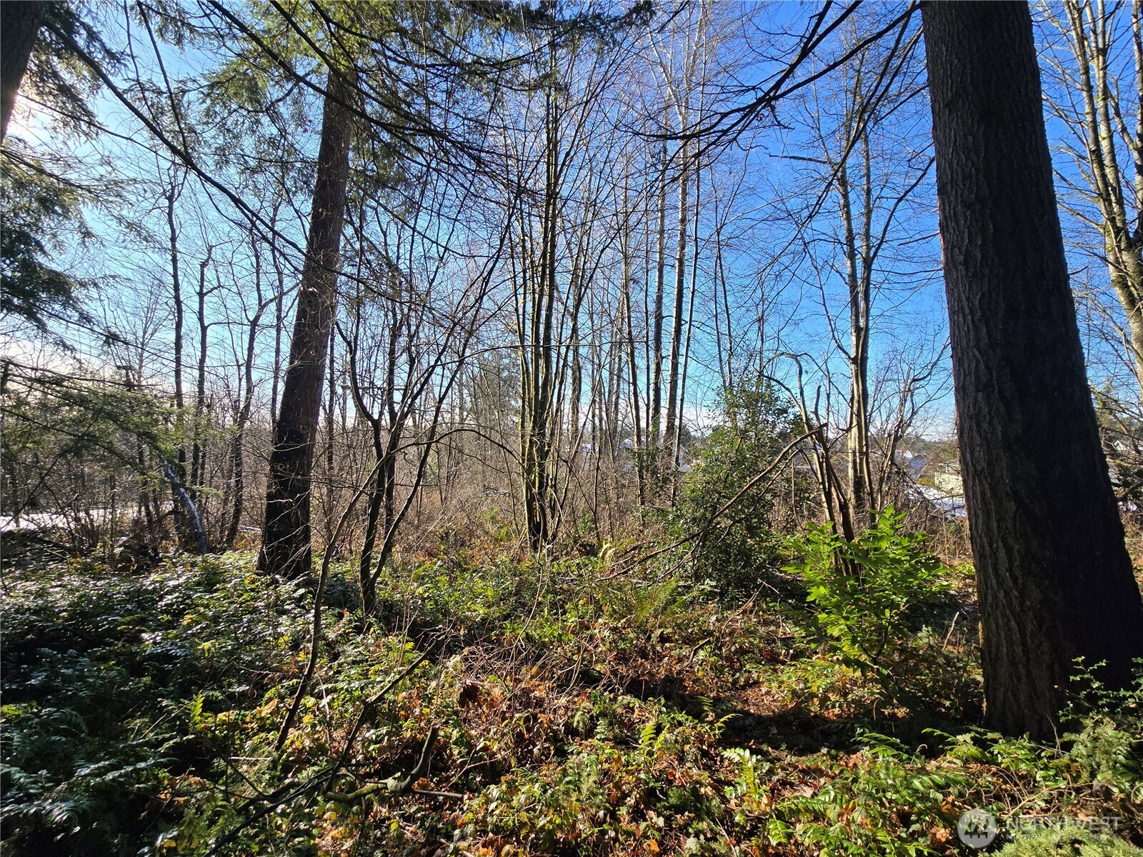 137 XX SE 202nd Place , Kent, WA 98042