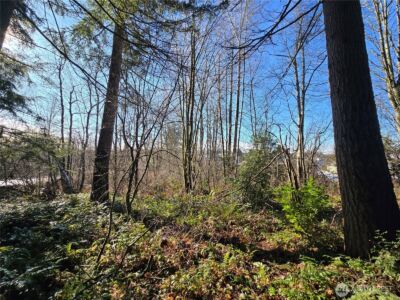 137 XX SE 202nd Place , Kent, WA 98042 - Photo 22