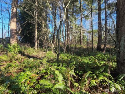 137 XX SE 202nd Place , Kent, WA 98042 - Photo 23