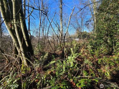 137 XX SE 202nd Place , Kent, WA 98042 - Photo 24