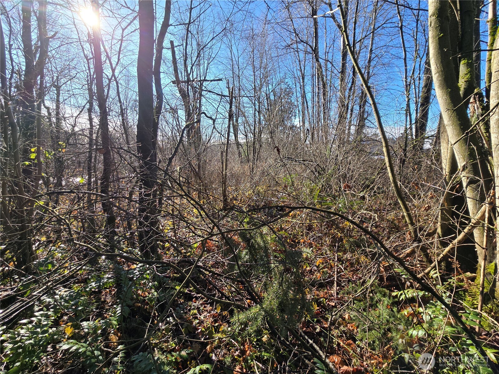 137 XX SE 202nd Place , Kent, WA 98042