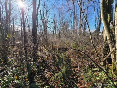 137 XX SE 202nd Place , Kent, WA 98042 - Photo 25