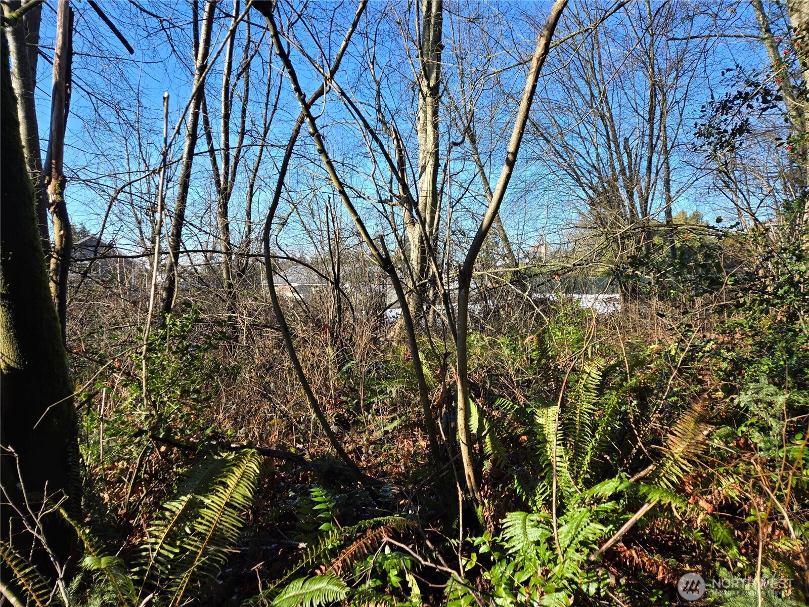 137 XX SE 202nd Place , Kent, WA 98042