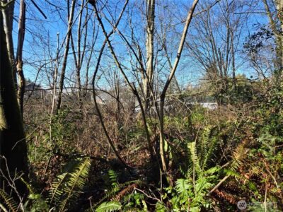 137 XX SE 202nd Place , Kent, WA 98042 - Photo 26