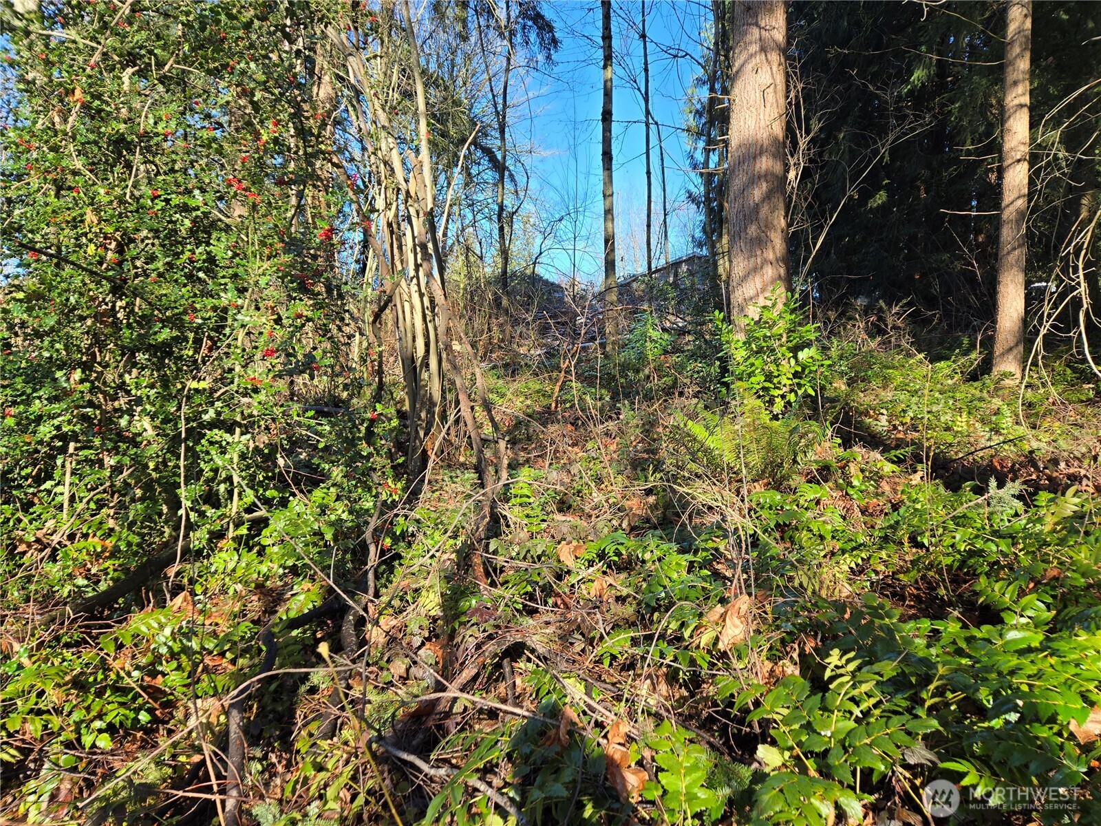 137 XX SE 202nd Place , Kent, WA 98042