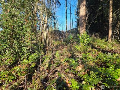 137 XX SE 202nd Place , Kent, WA 98042 - Photo 27