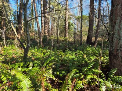 137 XX SE 202nd Place , Kent, WA 98042 - Photo 28