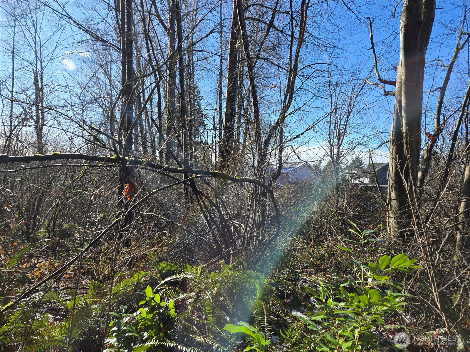 137 XX SE 202nd Place , Kent, WA 98042