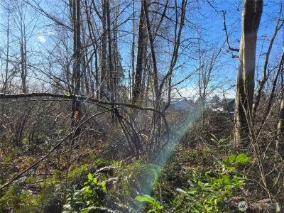 137 XX SE 202nd Place , Kent, WA 98042 - Photo 29