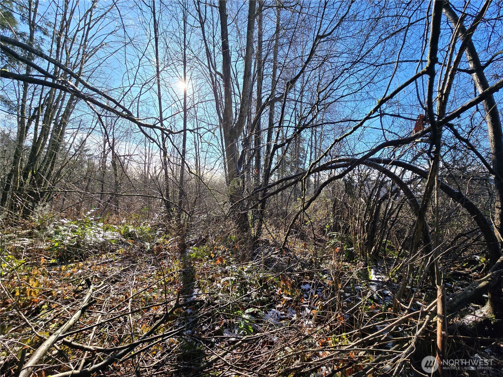 137 XX SE 202nd Place , Kent, WA 98042