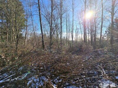 137 XX SE 202nd Place , Kent, WA 98042 - Photo 33