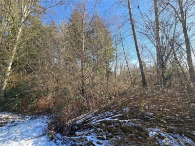 137 XX SE 202nd Place , Kent, WA 98042 - Photo 34