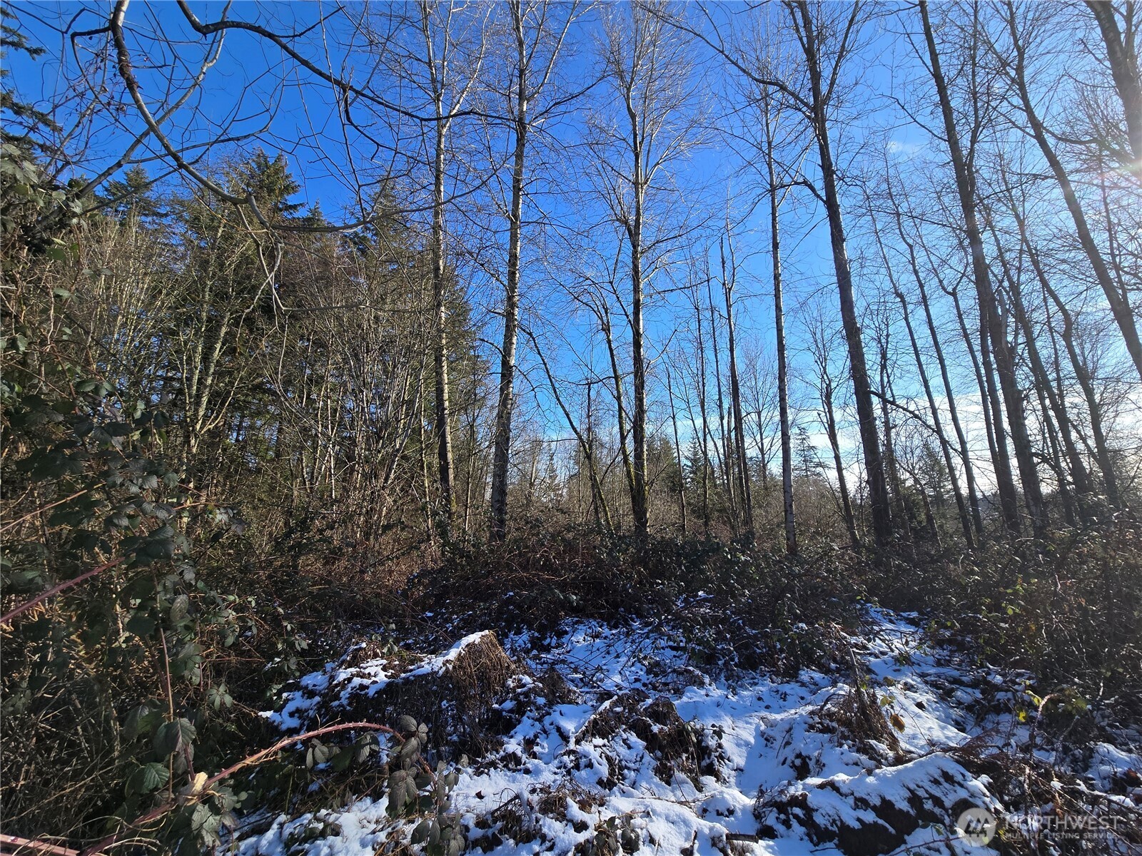 137 XX SE 202nd Place , Kent, WA 98042