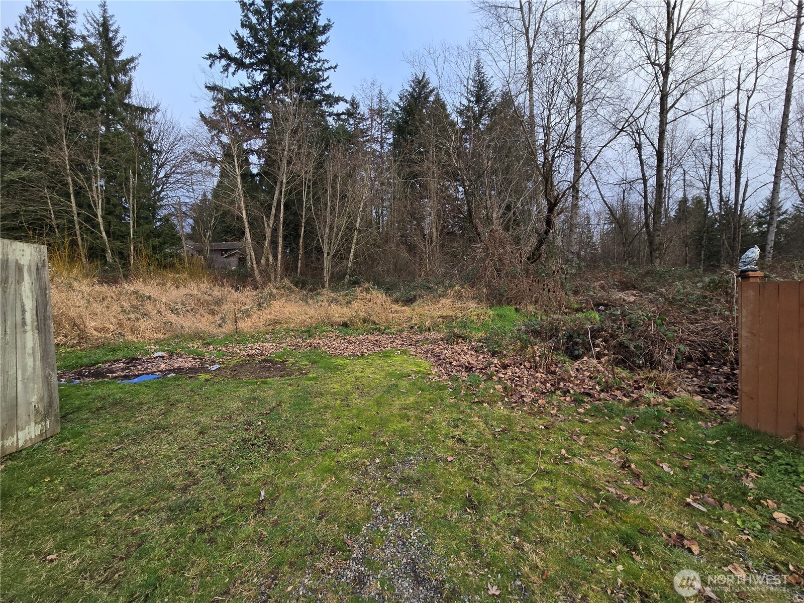 137 XX SE 202nd Place , Kent, WA 98042