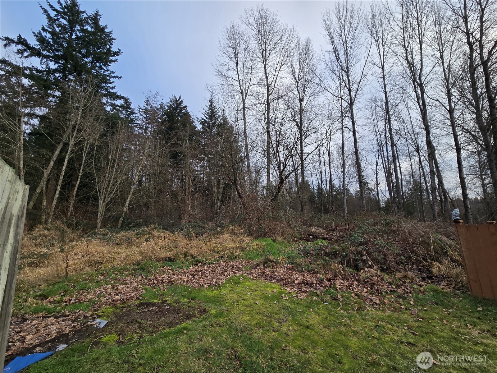 137 XX SE 202nd Place , Kent, WA 98042