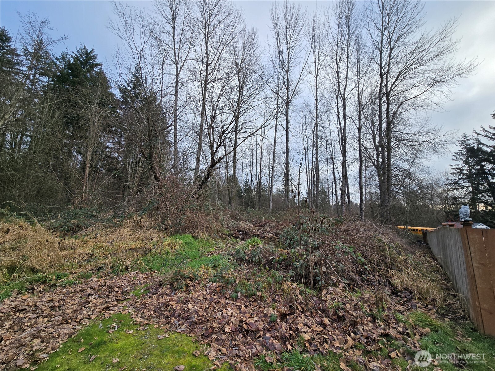 137 XX SE 202nd Place , Kent, WA 98042