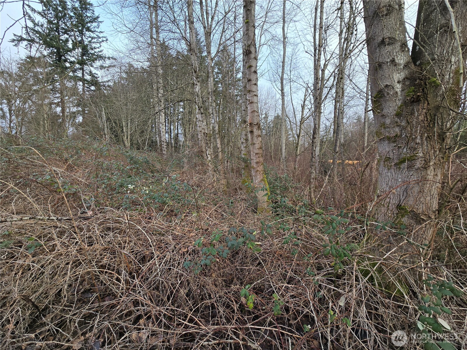 137 XX SE 202nd Place , Kent, WA 98042