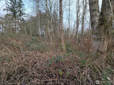 137 XX SE 202nd Place , Kent, WA 98042 - Photo 8