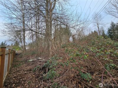 137 XX SE 202nd Place , Kent, WA 98042 - Photo 9