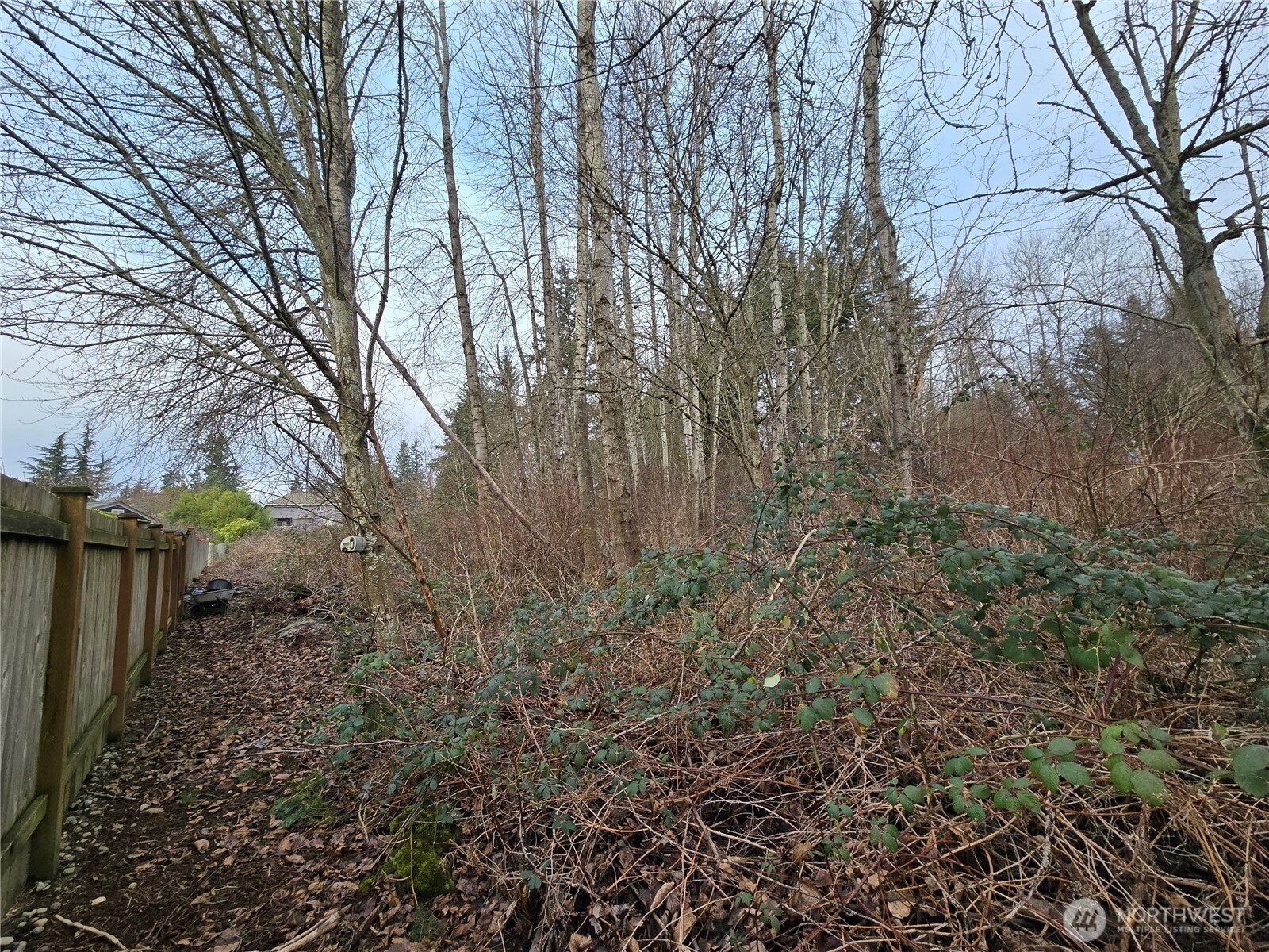 137 XX SE 202nd Place , Kent, WA 98042