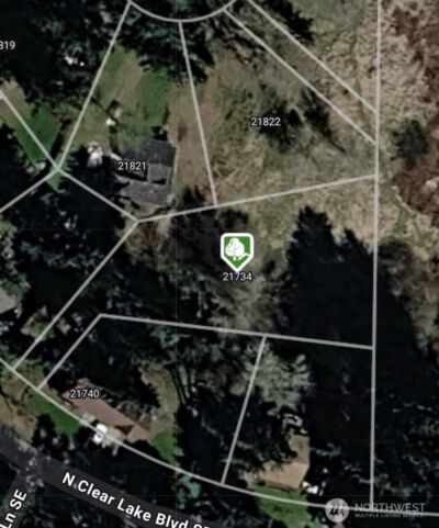 21734 N Clear Lake Boulevard SE, Yelm, WA 98597 - Photo 1