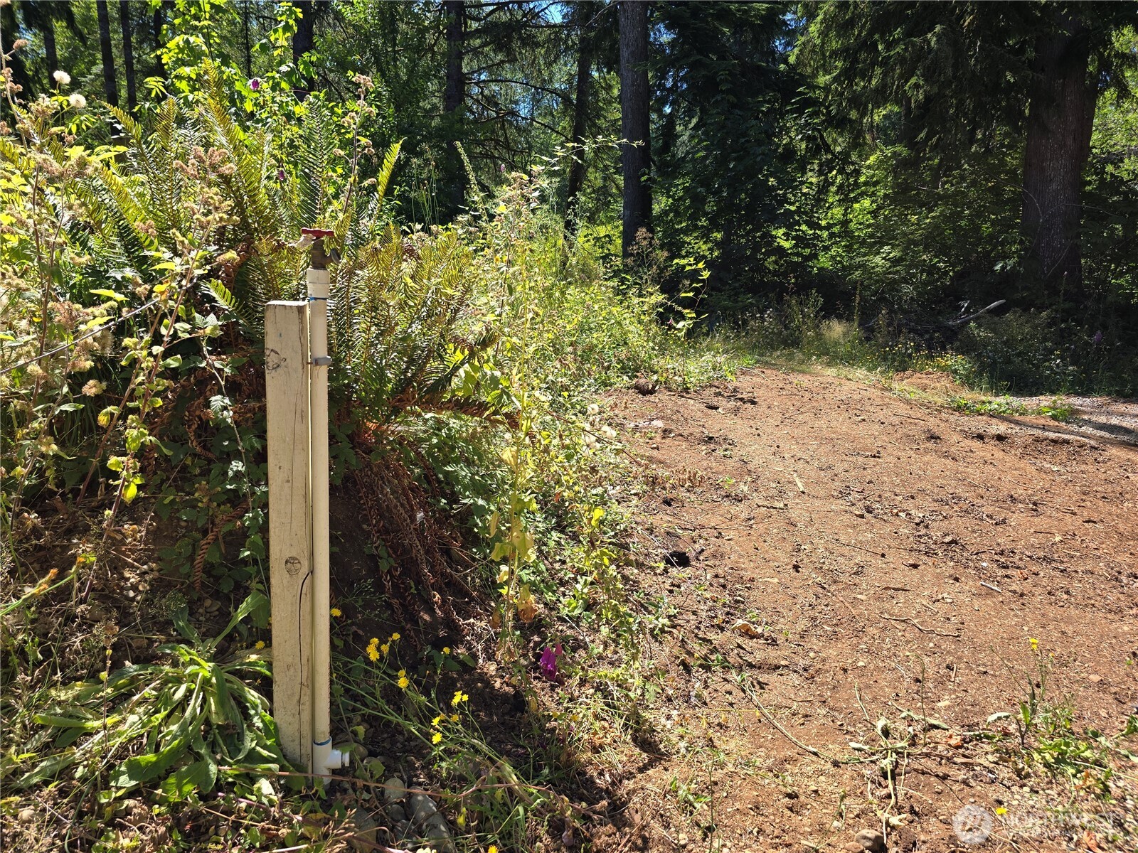 351 W Haven Drive , Elma, WA 98541