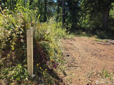 351 W Haven Drive , Elma, WA 98541 - Photo 3