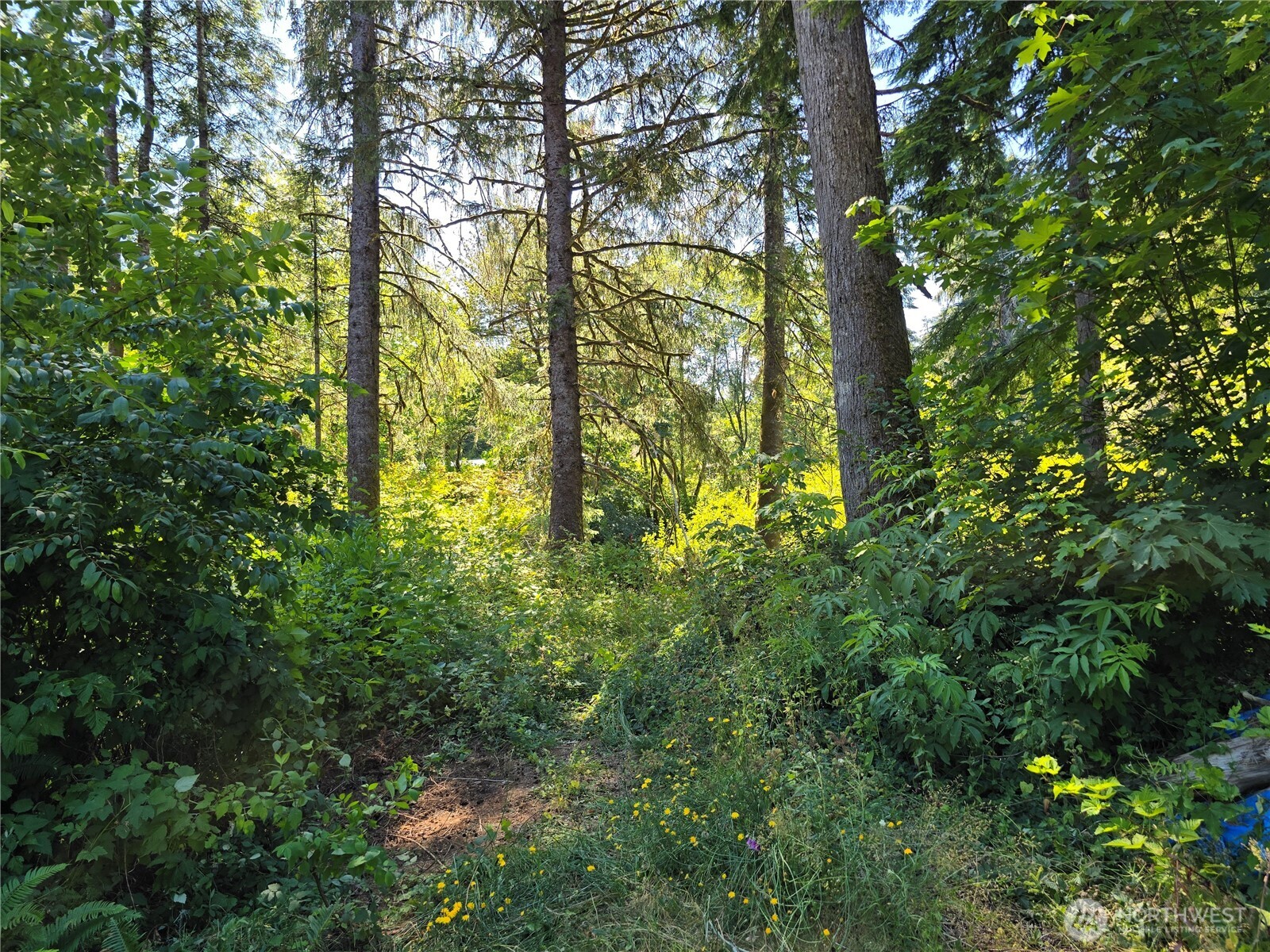 351 W Haven Drive , Elma, WA 98541