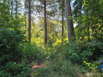 351 W Haven Drive , Elma, WA 98541 - Photo 5