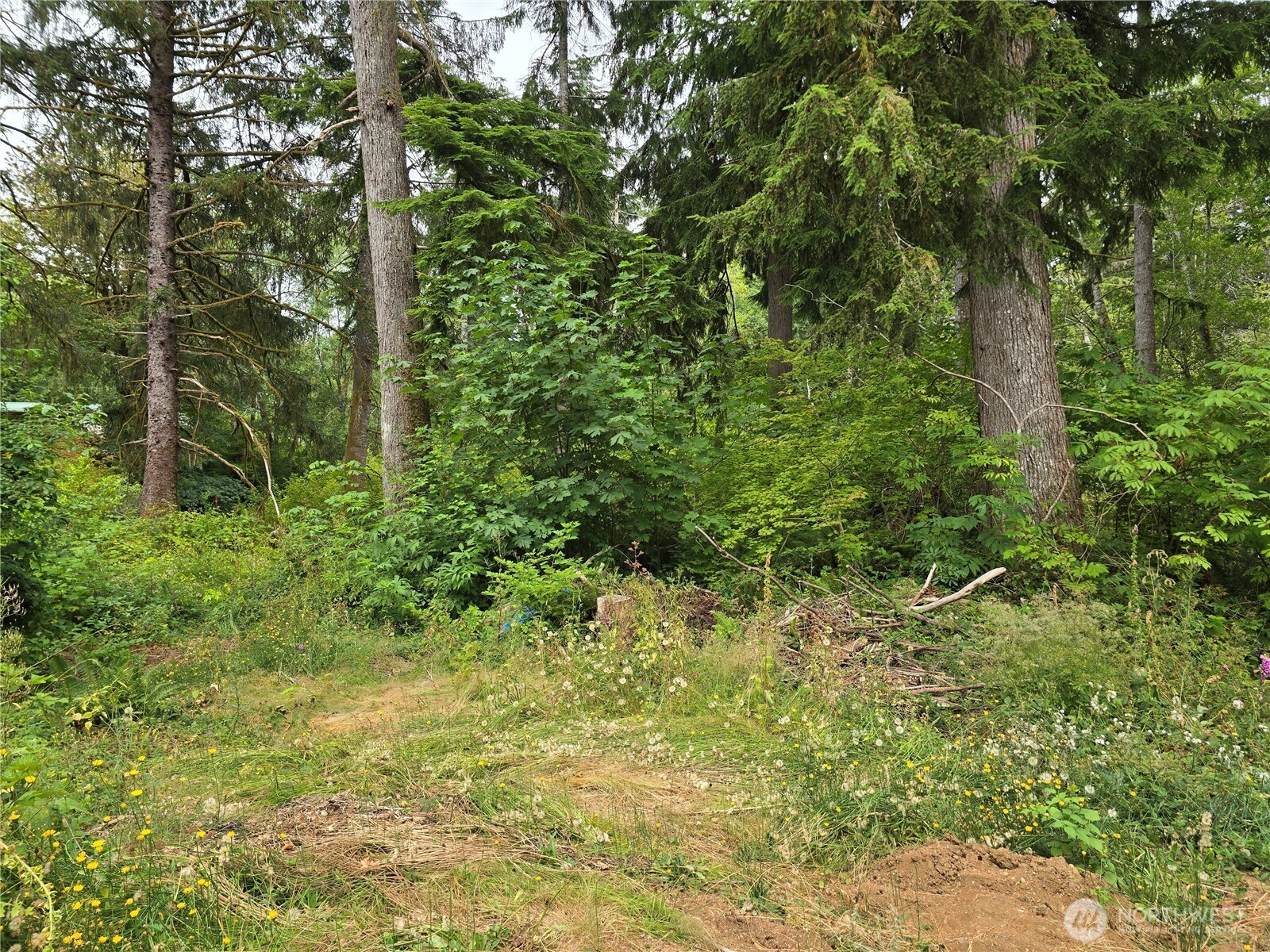 351 W Haven Drive , Elma, WA 98541