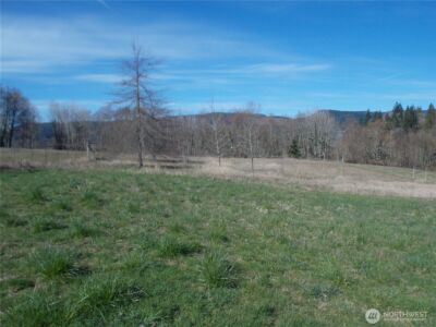 150 Elk Ridge Road , Mossyrock, WA 98564 - Photo 11