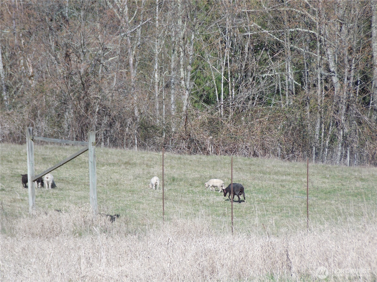 150 Elk Ridge Road , Mossyrock, WA 98564