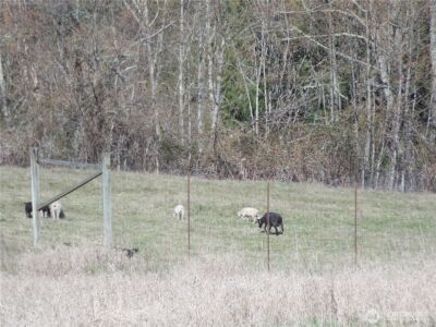 150 Elk Ridge Road , Mossyrock, WA 98564 - Photo 12