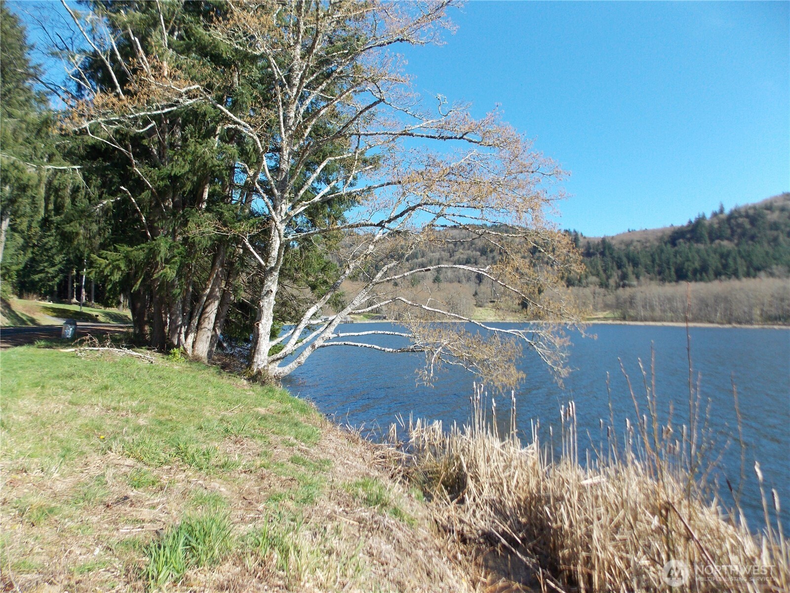 150 Elk Ridge Road , Mossyrock, WA 98564