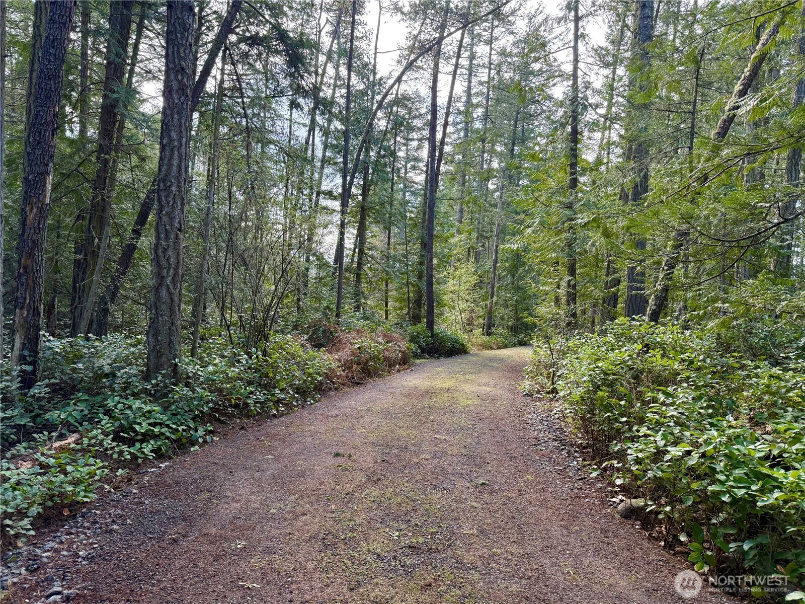 1111 Tarte Road , Friday Harbor, WA 98250