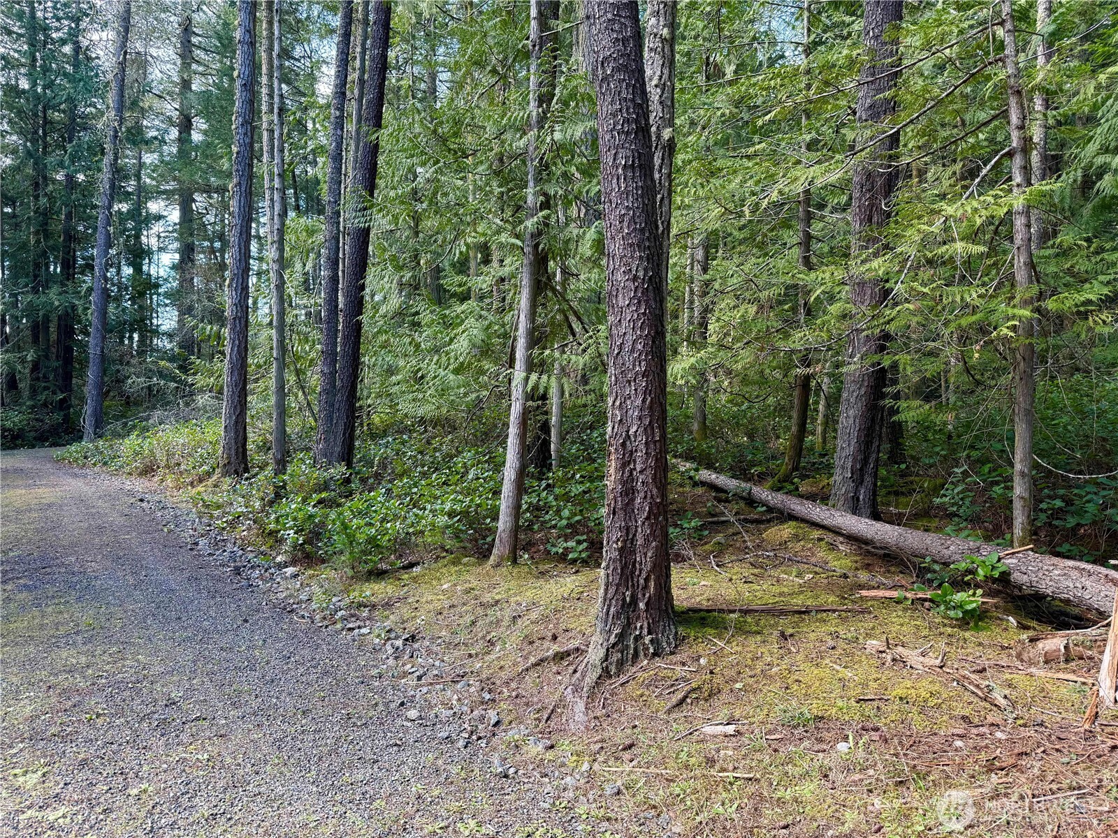 1111 Tarte Road , Friday Harbor, WA 98250